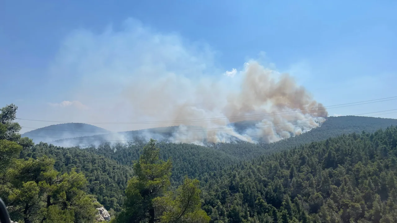Wildfire ravages northeastern Greece for 12 consecutive days, emerges as largest EU blaze in decades 